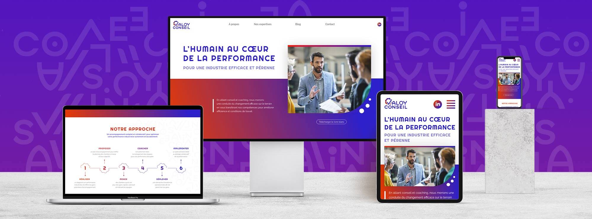 Valoy Conseil - a website full of potential